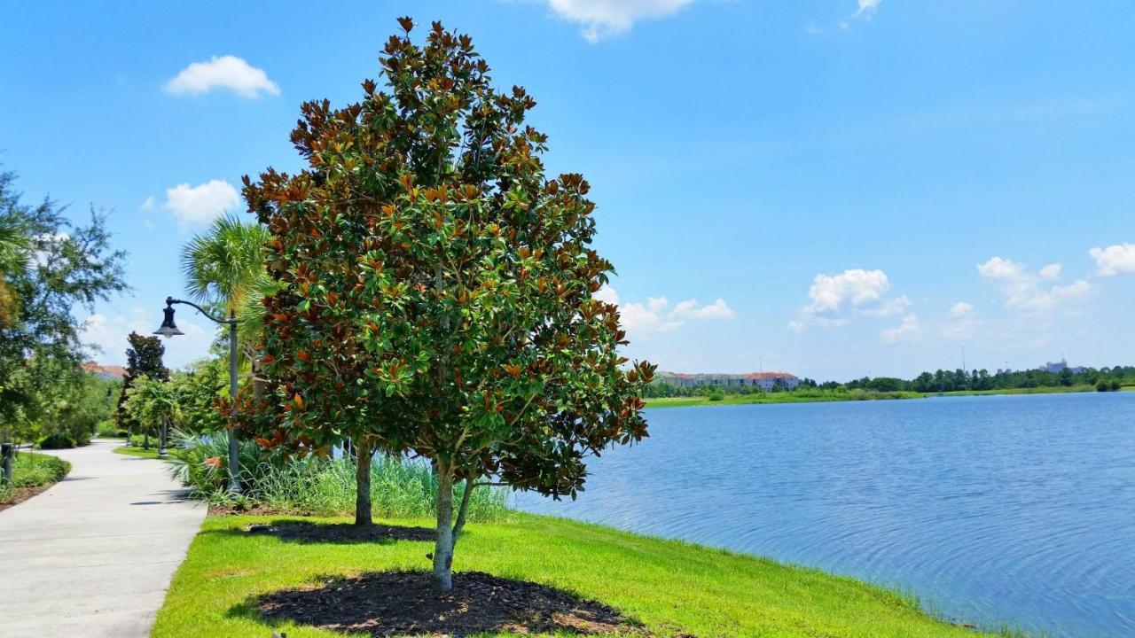 Spacious Condo Near Convention Ctr&I-Drive, Pool Orlando Exterior foto